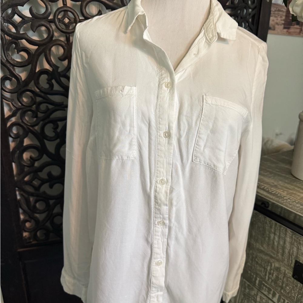 Ambiance Cream Button-Up Blouse